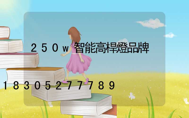 250w智能高桿燈品牌