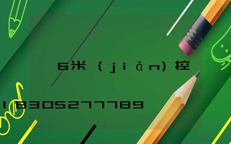 6米監(jiān)控桿