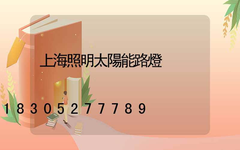 上海照明太陽能路燈