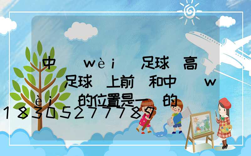中衛(wèi)足球場高桿燈(足球場上前鋒和中衛(wèi)的位置是一樣的嗎)