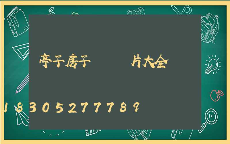 亭子房子設計圖片大全