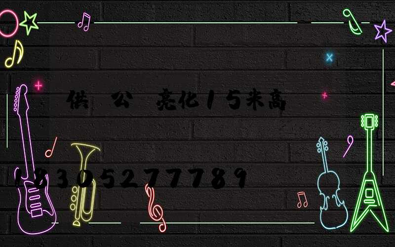 供應公園亮化15米高桿燈