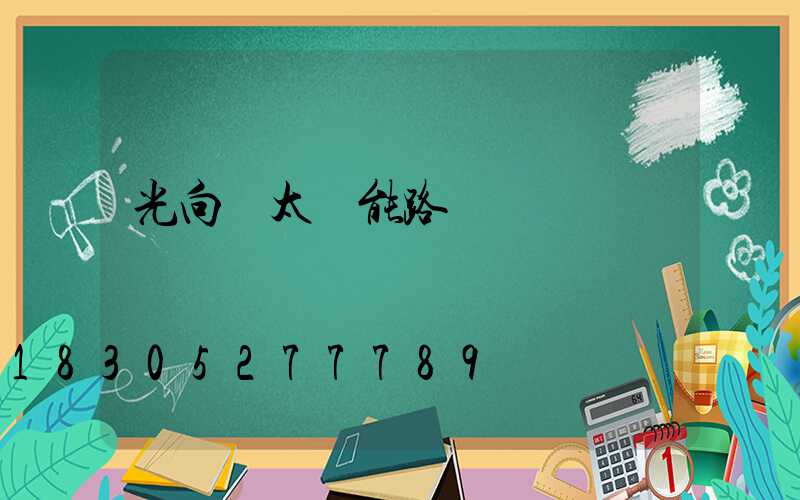 光向標太陽能路燈