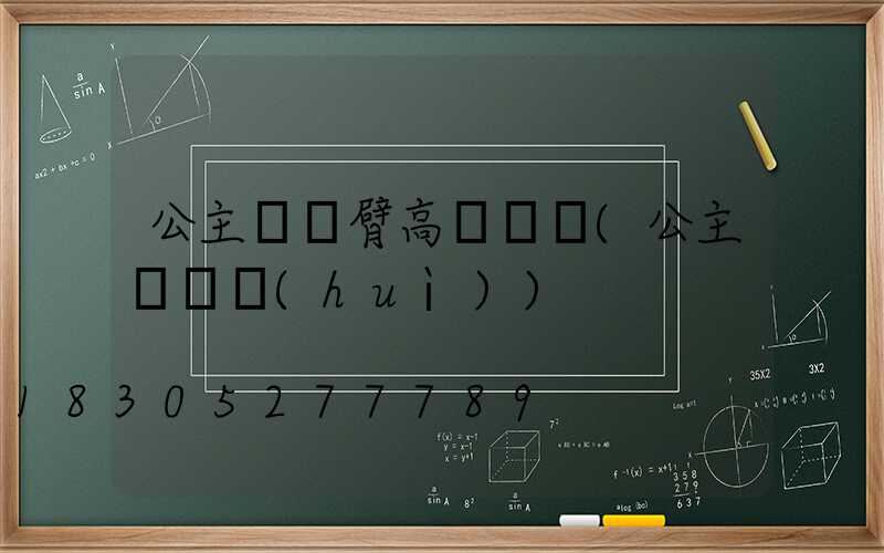 公主嶺單臂高桿燈廠(公主嶺燈會(huì))