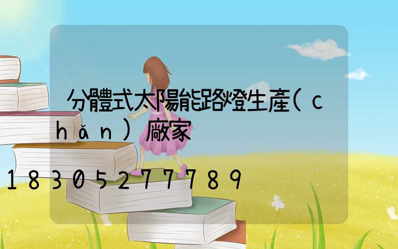 分體式太陽能路燈生產(chǎn)廠家