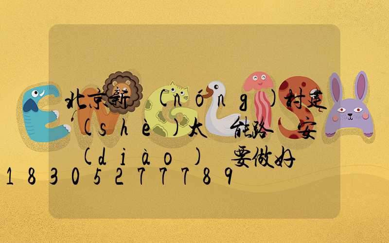 北京新農(nóng)村建設(shè)太陽能路燈安裝調(diào)試要做好
