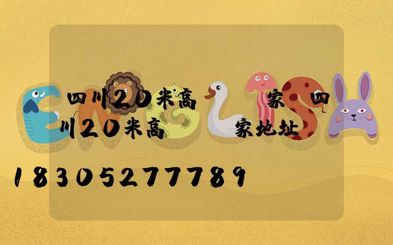 四川20米高桿燈廠家(四川20米高桿燈廠家地址)