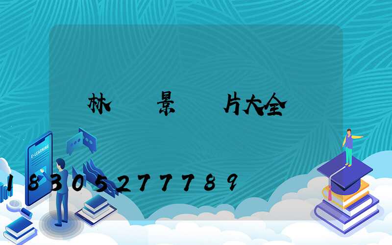 園林鐵藝景觀圖片大全