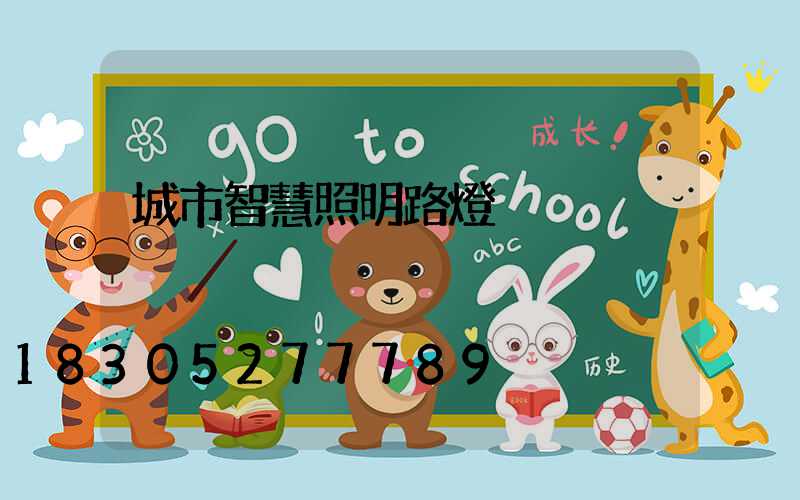 城市智慧照明路燈