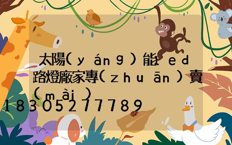 太陽(yáng)能led路燈廠家專(zhuān)賣(mài)