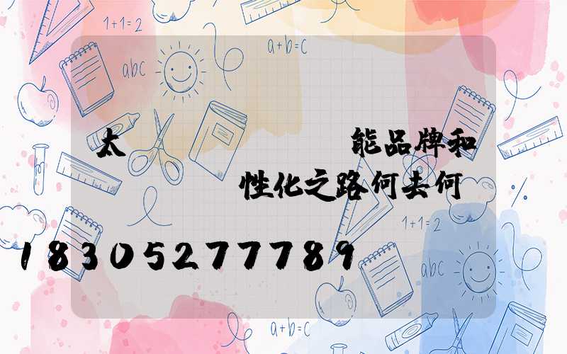 太陽(yáng)能品牌和個(gè)性化之路何去何從