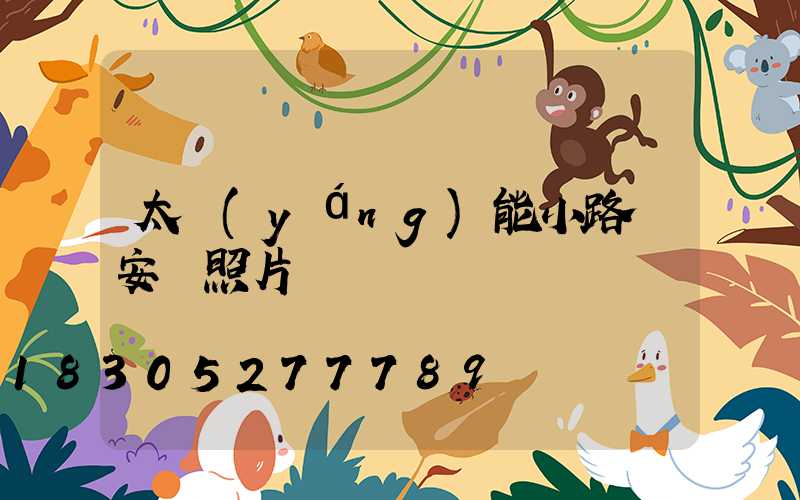 太陽(yáng)能小路燈安裝照片