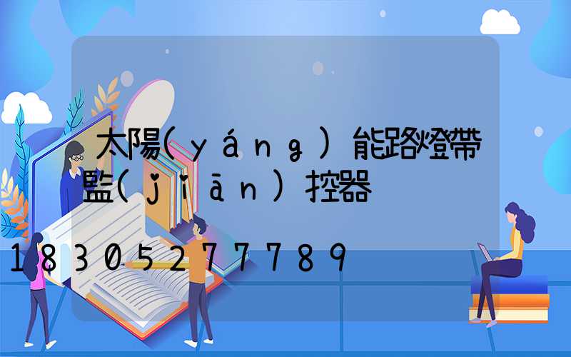 太陽(yáng)能路燈帶監(jiān)控器