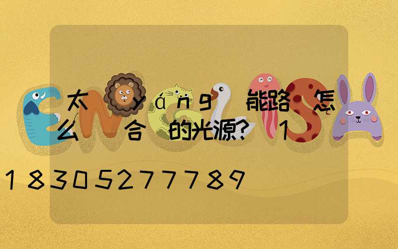 太陽(yáng)能路燈怎么選擇合適的光源？_1