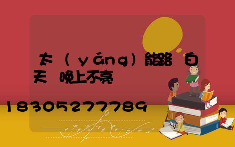 太陽(yáng)能路燈白天閃晚上不亮