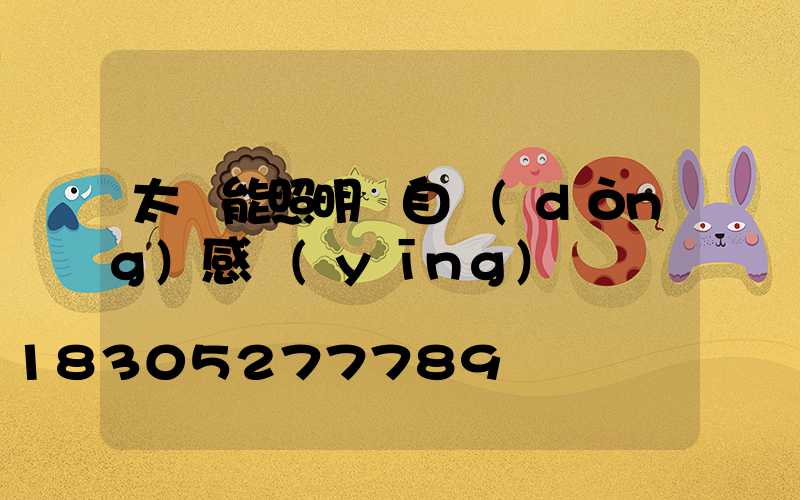 太陽能照明燈自動(dòng)感應(yīng)