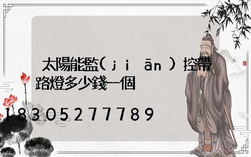 太陽能監(jiān)控帶路燈多少錢一個