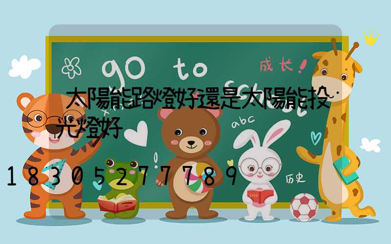 太陽能路燈好還是太陽能投光燈好