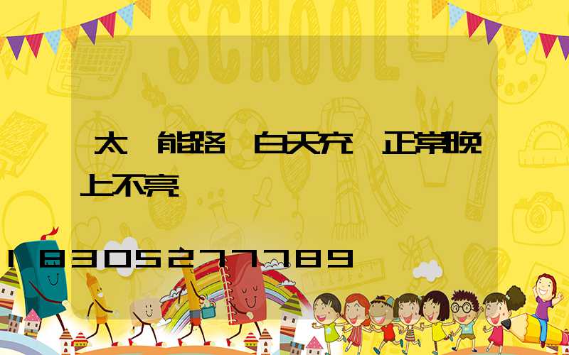 太陽能路燈白天充電正常晚上不亮