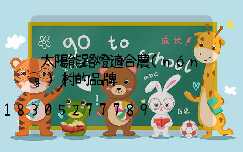 太陽能路燈適合農(nóng)村的品牌