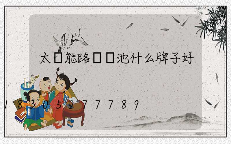 太陽能路燈電池什么牌子好