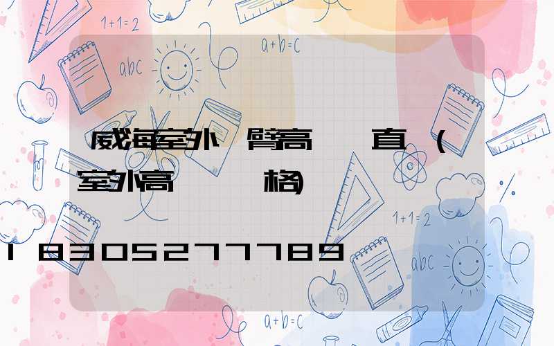 威海室外雙臂高桿燈直銷(室外高桿燈價格)