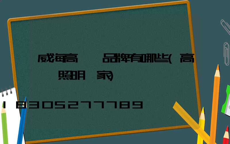 威海高桿燈品牌有哪些(高桿燈照明廠家)