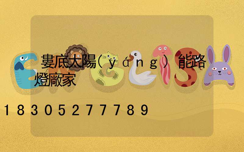 婁底太陽(yáng)能路燈廠家