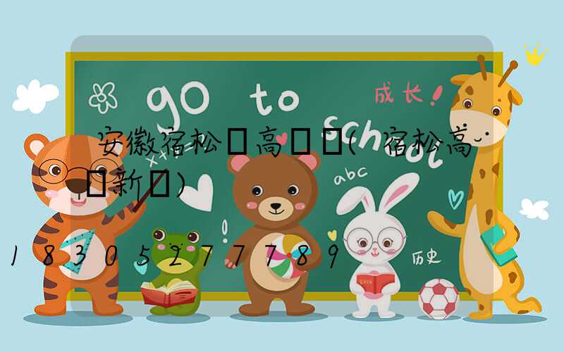 安徽宿松縣高桿燈(宿松高嶺新聞)