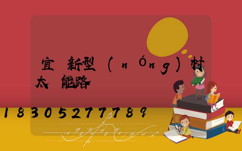 宜黃新型農(nóng)村太陽能路燈