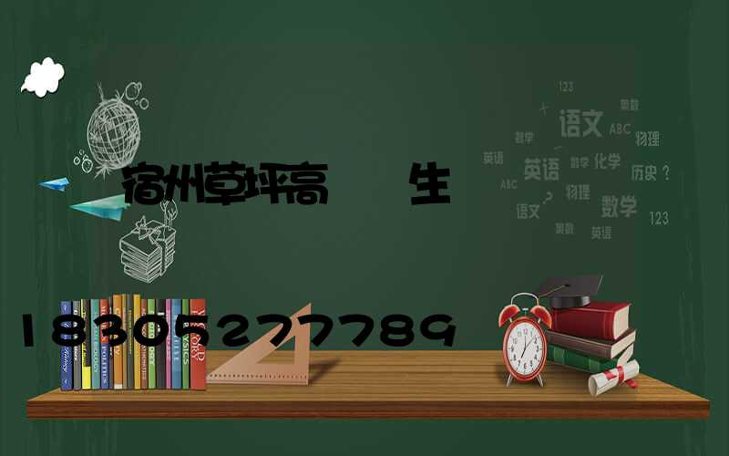 宿州草坪高桿燈生產廠