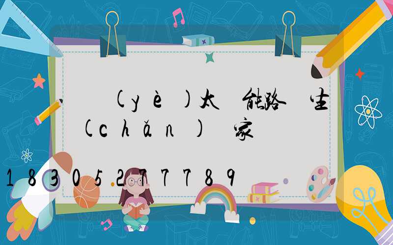 專業(yè)太陽能路燈生產(chǎn)廠家