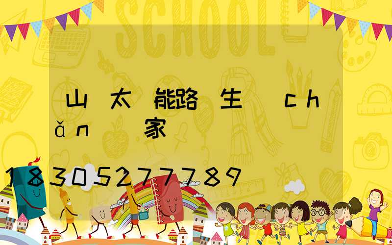 山東太陽能路燈生產(chǎn)廠家