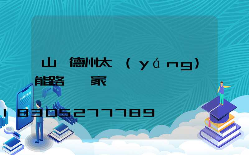 山東德州太陽(yáng)能路燈廠家