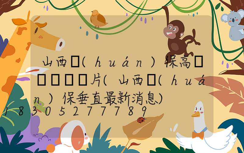 山西環(huán)保高桿燈報價圖片(山西環(huán)保垂直最新消息)