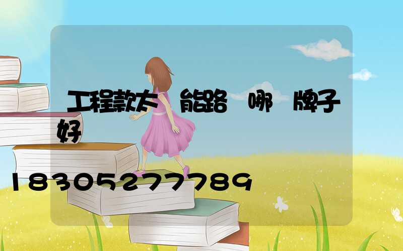 工程款太陽能路燈哪個牌子好