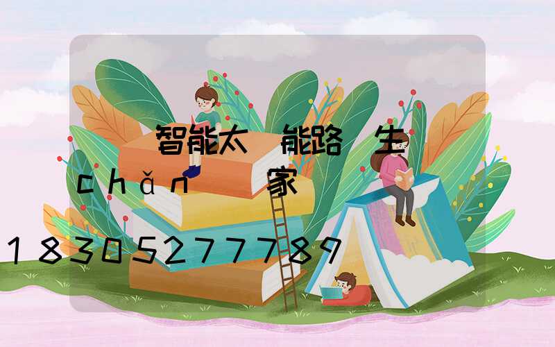 廣東智能太陽能路燈生產(chǎn)廠家