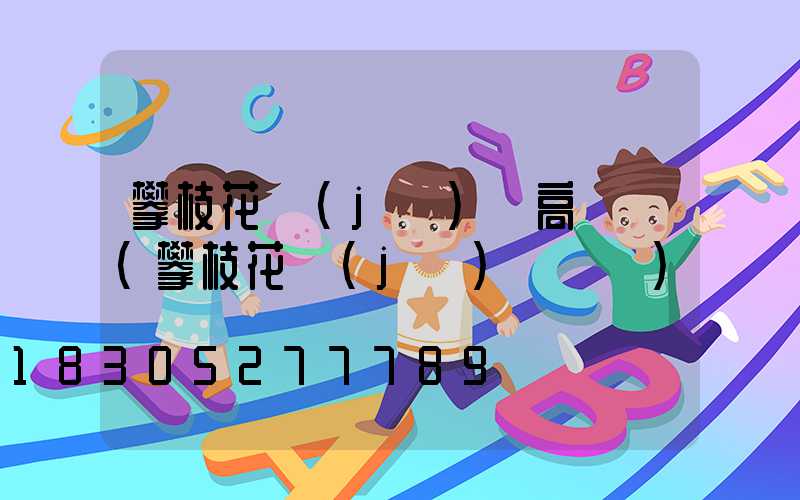 攀枝花機(jī)場高桿燈(攀枝花機(jī)場電話)