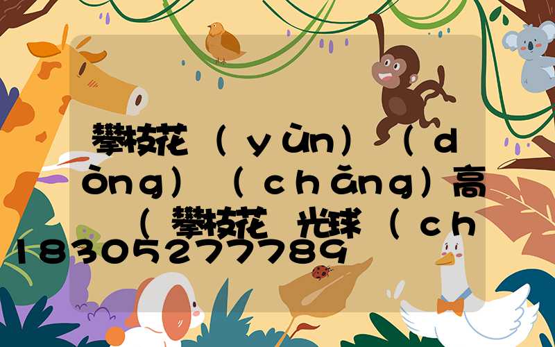 攀枝花運(yùn)動(dòng)場(chǎng)高桿燈(攀枝花燈光球場(chǎng))