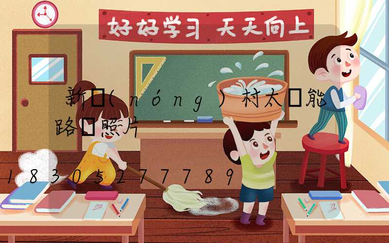 新農(nóng)村太陽能路燈照片