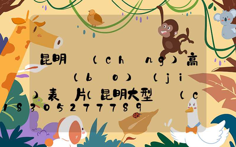 昆明廣場(chǎng)高桿燈報(bào)價(jià)表圖片(昆明大型廣場(chǎng))