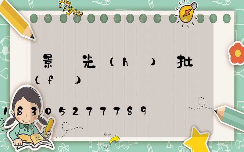 景觀燈光護(hù)欄批發(fā)