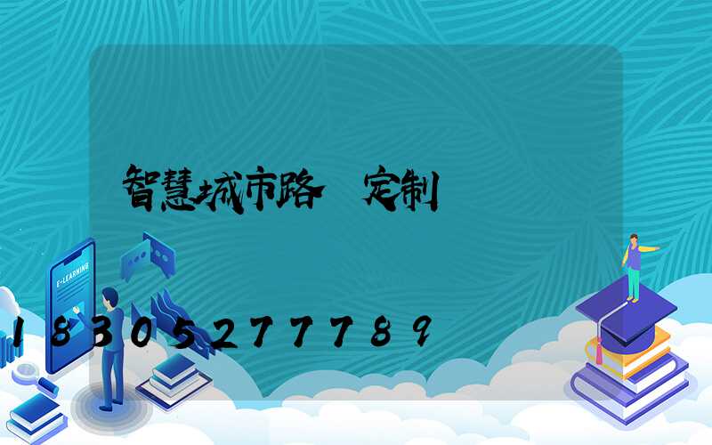 智慧城市路燈定制