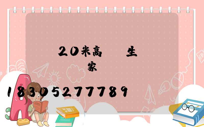 棗莊20米高桿燈生產(chǎn)廠家