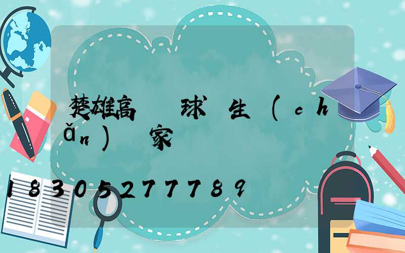 楚雄高桿燈球場生產(chǎn)廠家