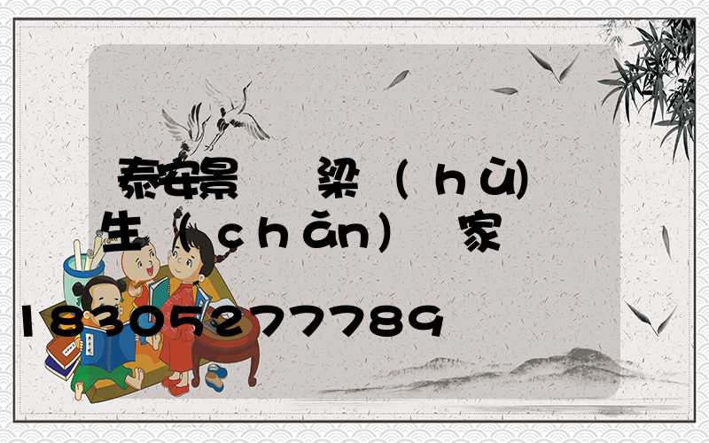 泰安景觀橋梁護(hù)欄生產(chǎn)廠家