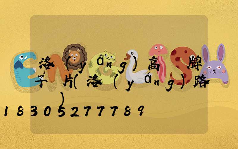 洛陽(yáng)高桿燈牌子圖片(洛陽(yáng)路燈桿)