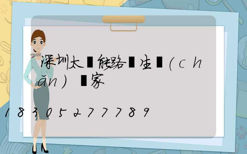 深圳太陽能路燈生產(chǎn)廠家
