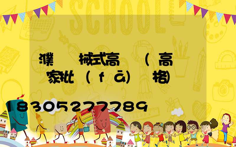 濮陽機械式高桿燈(高桿燈廠家批發(fā)價格)