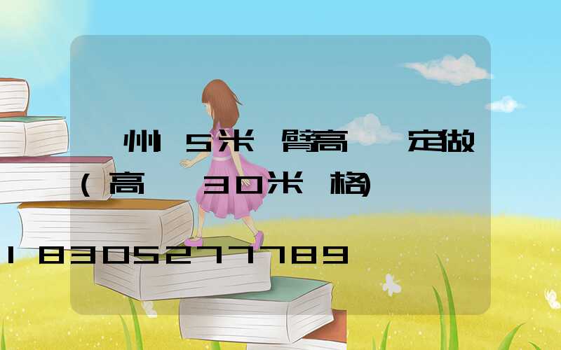 濱州15米雙臂高桿燈定做(高桿燈30米價格)